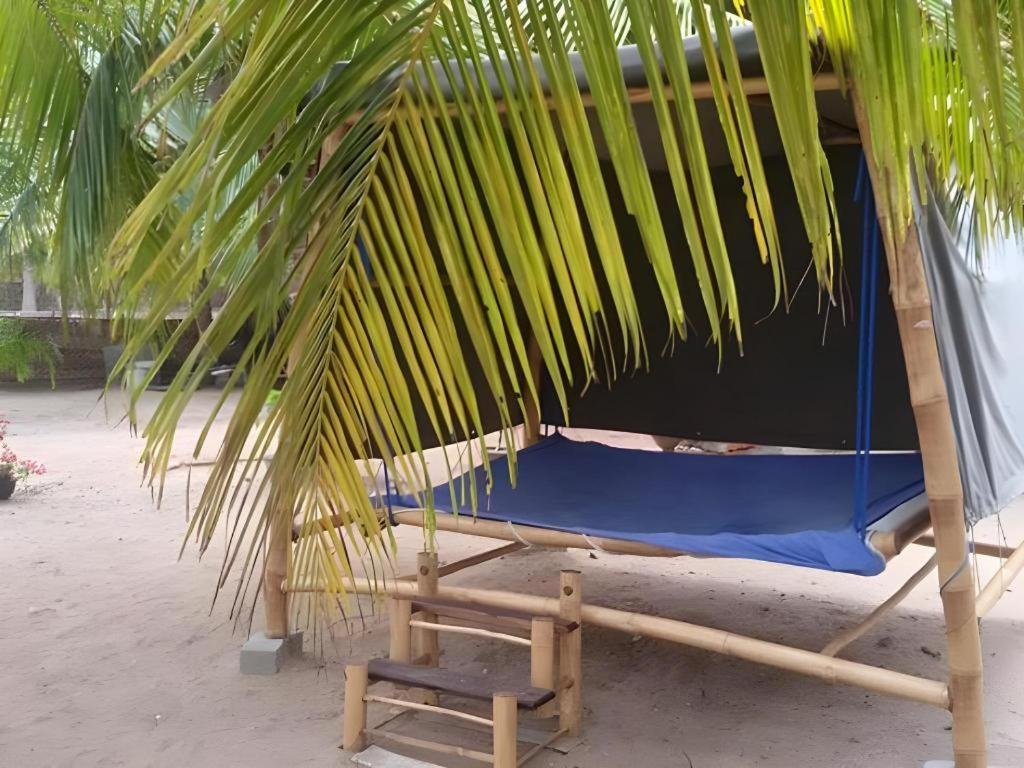 Kite Paradise Resort カルピティヤ エクステリア 写真